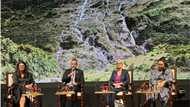 Nova Zelândia adoça incentivos cinematográficos, Eyes India Co-Production Revival - WAVES Film Bazaar
