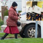 Nova reviravolta estranha no caso da avó de Long Island que afirma não saber que concorreu a um cargo público: ‘Estamos orgulhosos dela’