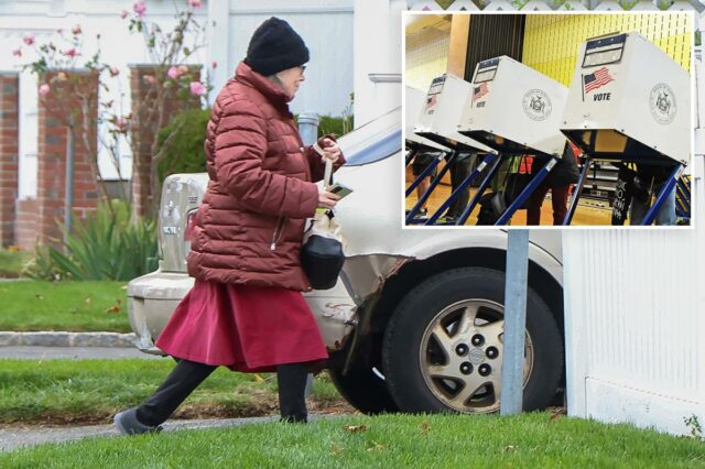 Nova reviravolta estranha no caso da avó de Long Island que afirma não saber que concorreu a um cargo público: ‘Estamos orgulhosos dela’
