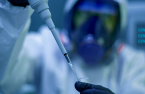 Novo estudo revela composto oral que imita o exercício e retarda o envelhecimento Novo estudo revela composto oral que imita o exercício e retarda o envelhecimento