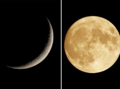 Novo estudo sugere que todos estavam errados sobre a origem da lua Uma lua cheia laranja contra um fundo preto.