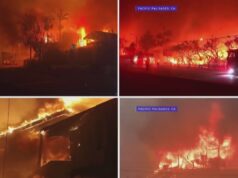 Novos documentos mostram que a Califórnia foi notificada sobre incêndio | Relatórios de Elizabeth Vargas Yahoo news home