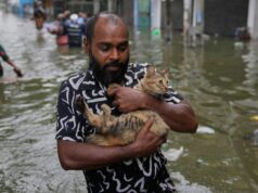 Número de mortos em inundações e deslizamentos de terra no Sri Lanka sobe para 132 Um homem atravessa uma estrada inundada carregando um gato em Colombo, Sri Lanka, sábado, 29 de novembro de 2025. (AP Photo/Eranga Jayawardena)