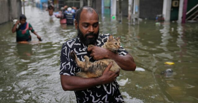 Um homem atravessa uma estrada inundada carregando um gato em Colombo, Sri Lanka, sábado, 29 de novembro de 2025. (AP Photo/Eranga Jayawardena)