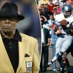 logotipo de fantasia azarão