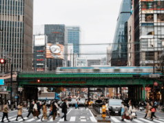 O Japão protesta contra a China porque pede aos seus cidadãos que não visitem a terra de Sakura O Japão protesta contra a China porque pede aos seus cidadãos que não visitem a terra de Sakura