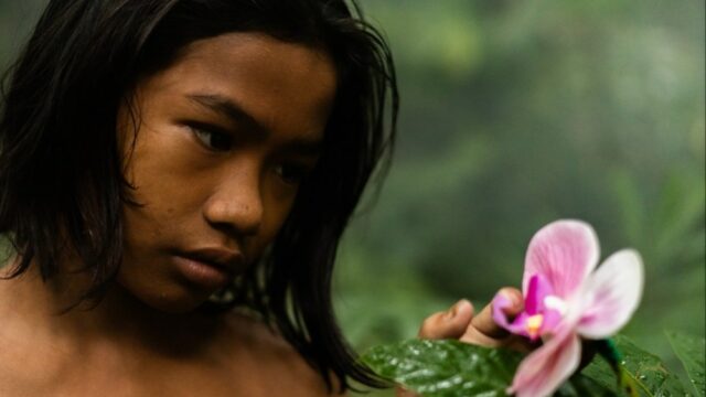 'O Jardim das Delícias Terrenas' – e Vincent Lindon – 'O Jardim das Delícias Terrenas' – e Vincent Lindon – Triunfo no Festival de Cinema de Torino