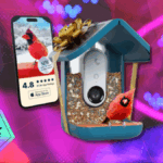 O alimentador inteligente de pássaros Birdbuddy Pro acaba de atingir um novo preço baixo para a Black Friday