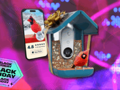 O alimentador inteligente de pássaros Birdbuddy Pro acaba de atingir um novo preço baixo para a Black Friday O alimentador inteligente de pássaros Birdbuddy Pro acaba de atingir um novo preço baixo para a Black Friday