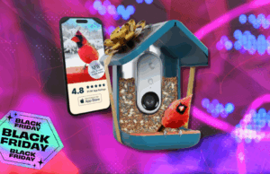 O alimentador inteligente de pássaros Birdbuddy Pro acaba de atingir um novo preço baixo para a Black Friday O alimentador inteligente de pássaros Birdbuddy Pro acaba de atingir um novo preço baixo para a Black Friday