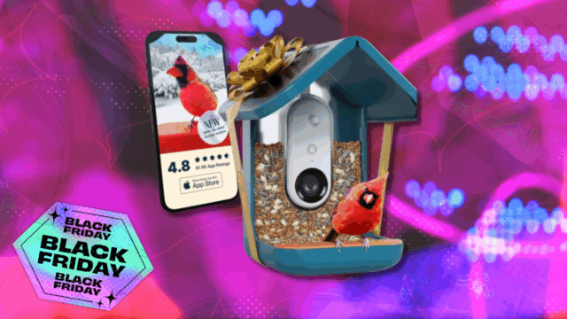 O alimentador inteligente de pássaros Birdbuddy Pro acaba de atingir um novo preço baixo para a Black Friday
