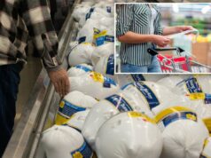 O aumento dos custos torna o Dia de Ação de Graças deste ano o mais caro da história: pesquisa O aumento dos custos torna o Dia de Ação de Graças deste ano o mais caro da história: pesquisa