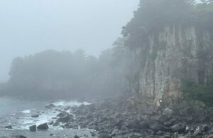 O ex-presidente do Conselho de Cinema Coreano, Park Ki-yong, retorna à direção de ‘Ghost Island’ no JAFF Future Project O ex-presidente do Conselho de Cinema Coreano, Park Ki-yong, retorna à direção de 'Ghost Island' no JAFF Future Project