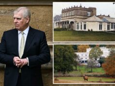 O ex-príncipe Andrew pagou ‘um grão de pimenta’ anualmente para alugar o Royal Lodge – e os políticos do Reino Unido estão furiosos O ex-príncipe Andrew pagou 'um grão de pimenta' anualmente para alugar o Royal Lodge - e os políticos do Reino Unido estão furiosos