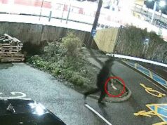 O facador que esfaqueou passageiros aterrorizados no tumulto do trem em Huntingdon ‘tinha histórico de problemas de saúde mental e era conhecido das autoridades’ Arrepiante: O homem vestido de preto segurando uma faca se afasta do trem após causar carnificina. Fontes confirmaram que o suspeito tinha histórico de problemas de saúde mental e era conhecido das autoridades anteriormente