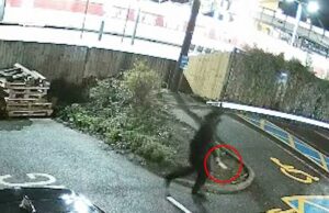 O facador que esfaqueou passageiros aterrorizados no tumulto do trem em Huntingdon ‘tinha histórico de problemas de saúde mental e era conhecido das autoridades’ Arrepiante: O homem vestido de preto segurando uma faca se afasta do trem após causar carnificina. Fontes confirmaram que o suspeito tinha histórico de problemas de saúde mental e era conhecido das autoridades anteriormente