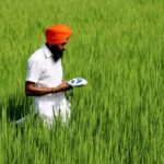 O fundo Mirova, apoiado pela Kering, investe US$ 30,5 milhões em Varaha, na Índia, para agricultura regenerativa