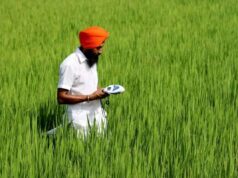 O fundo Mirova, apoiado pela Kering, investe US$ 30,5 milhões em Varaha, na Índia, para agricultura regenerativa O fundo Mirova, apoiado pela Kering, investe US$ 30,5 milhões em Varaha, na Índia, para agricultura regenerativa