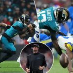 logotipo de fantasia azarão