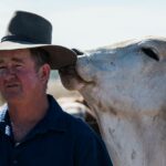 O gado não pode ser o bode expiatório das alterações climáticas: produtores mundiais unem forças