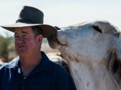 O gado não pode ser o bode expiatório das alterações climáticas: produtores mundiais unem forças O gado não pode ser o bode expiatório das alterações climáticas: produtores mundiais unem forças