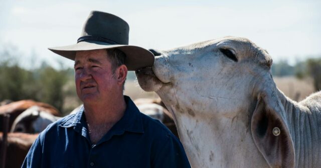 O gado não pode ser o bode expiatório das alterações climáticas: produtores mundiais unem forças
