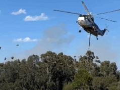 O incêndio florestal atinge os moradores ao sul de Sydney, com avisos de que é tarde demais para partir Moradores de um subúrbio ao sul de Sydney estão sendo informados de que é tarde demais para partir, pois um incêndio florestal se aproxima.