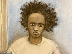 O irmão do assassino de Southport pensou que mataria seu pai e o comparou ao assassino ‘sociopata’ do filme No Country For Old Men O assassino de Southport, Axel Rudakubana, é retratado em um esboço artístico do tribunal durante seu julgamento no Liverpool Crown Court no ano passado