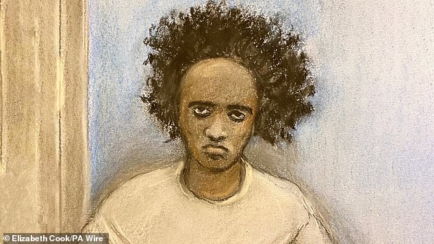 O irmão do assassino de Southport pensou que mataria seu O assassino de Southport, Axel Rudakubana, é retratado em um esboço artístico do tribunal durante seu julgamento no Liverpool Crown Court no ano passado