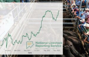 O mercado de gado entra no território do “diga seu preço”; recordes estabelecidos em todos os lugares O mercado de gado entra no território do “diga seu preço”; recordes estabelecidos em todos os lugares