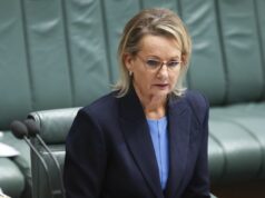 ‘O pior que já vi’: o ataque contundente do liberal sênior em Ley A líder da oposição, Sussan Ley, durante o período de perguntas no Parlamento em Canberra, na quarta-feira, 5 de novembro de 2025.