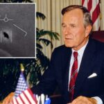 O presidente George HW Bush 'sabia' do contato alienígena com humanos em 1964 no Novo México: documentário