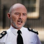 Gavin Stephens, chefe do Conselho Nacional de Chefes de Polícia (NPCC), alertou sobre uma onda de crimes