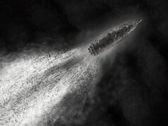 O que uma repórter descobriu ao investigar ataques militares dos EUA a barcos de drogas venezuelanos Yahoo news home