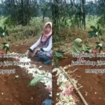 O reino da sepultura não é um mito: explicação do tormento da sepultura de acordo com o Alcorão e a Sunnah