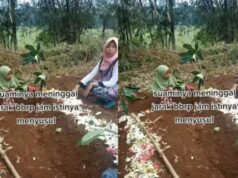 O reino da sepultura não é um mito: explicação do tormento da sepultura de acordo com o Alcorão e a Sunnah O reino da sepultura não é um mito: explicação do tormento da sepultura de acordo com o Alcorão e a Sunnah