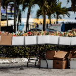 Monólogos de James Austin Johnson como Donald Trump SNL