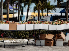 O verdadeiro teste para os democratas Monólogos de James Austin Johnson como Donald Trump SNL