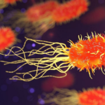 OMS pede ação rápida para combater a resistência antimicrobiana