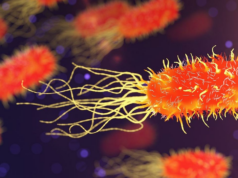 OMS pede ação rápida para combater a resistência antimicrobiana OMS pede ação rápida para combater a resistência antimicrobiana