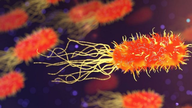 OMS pede ação rápida para combater a resistência antimicrobiana
