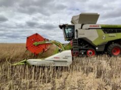 OP convencional é uma opção óbvia de oleaginosas para a família Fels em Esperance OP convencional é uma opção óbvia de oleaginosas para a família Fels em Esperance