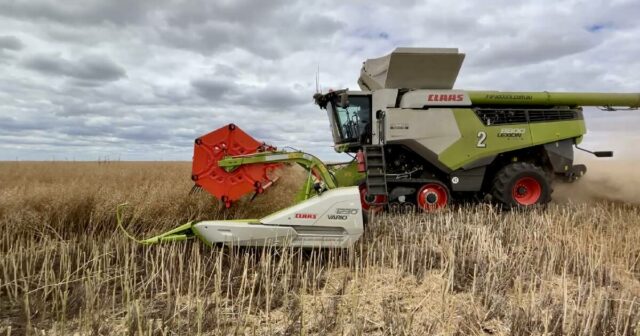 OP convencional é uma opção óbvia de oleaginosas para a família Fels em Esperance
