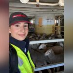 OPINIÃO: A importância esquecida das submissões e recomendações públicas