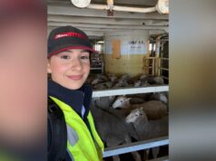 OPINIÃO: A importância esquecida das submissões e recomendações públicas OPINIÃO: A importância esquecida das submissões e recomendações públicas