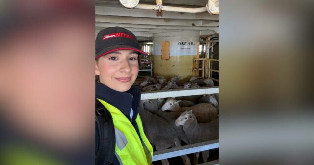 OPINIÃO: A importância esquecida das submissões e recomendações públicas
