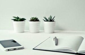 Ofereça ao seu PC aplicativos do Microsoft Office por menos de US$ 7 cada Ofereça ao seu PC aplicativos do Microsoft Office por menos de US$ 7 cada