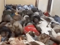 ‘Oh meu Deus, esta é a nossa Tanzânia’: investigação da CNN mostra polícia atirando fatalmente em manifestantes, sinais de valas comuns A CNN verificou vídeos de corpos cobrindo o chão do Hospital Mwananyamala em Dar es Salaam. - Obtido pela CNN