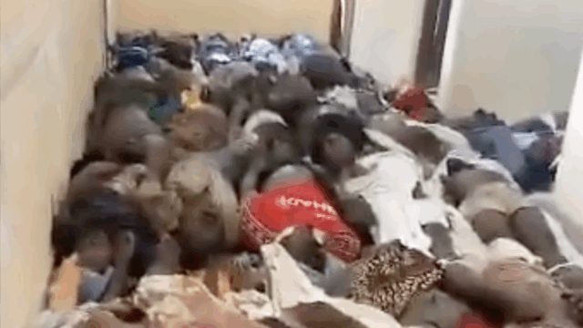 A CNN verificou vídeos de corpos cobrindo o chão do Hospital Mwananyamala em Dar es Salaam. - Obtido pela CNN