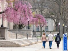 Opinião: Temendo Trump, as próprias universidades restringem a liberdade acadêmica Opinião: Temendo Trump, as próprias universidades restringem a liberdade acadêmica